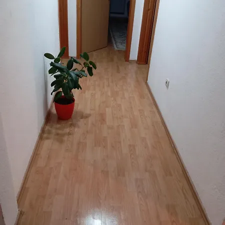 Dzenana *